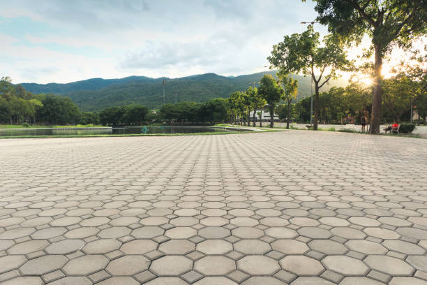 Trusted Penitas, TX Driveway Pavers Experts