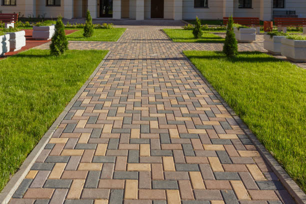 Best Residential Paver Driveway  in Penitas, TX